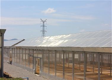 Harga yang bagus BIPV Greenhouse Solar System 500KW Energy Efficient Film Cover Custom Depth on line