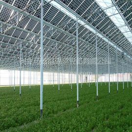 Harga yang bagus Commercial Greenhouse Solar System Electric Power Galvanized Surface Treatment on line