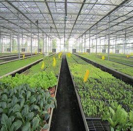 Harga yang bagus 5kw Greenhouse Solar System Ground Mount 10-60° Tilt Angle Thickness 2.0mm/2.5mm on line