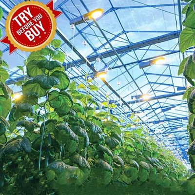 Harga yang bagus CE Steel Frame Mounting Winter Greenhouse Solar System Tin Film Module Support Structure For Green Space on line
