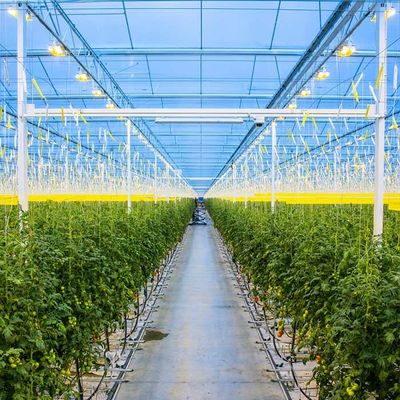 Harga yang bagus Agricultural Galvanized Steel Frame Solar PV Greenhouse on line