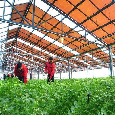 Harga yang bagus Hot Galvanized Steel Frame Thin Film Module Support Structure For Photovoltaic Greenhouses on line