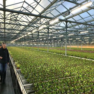 Harga yang bagus Corrosion Resistance Agriculture Solar Energy Greenhouse 2.0mm 2.5mm Thickness on line