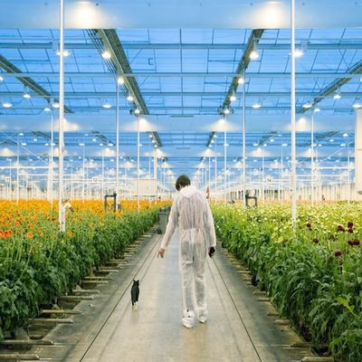 Harga yang bagus Adjustable Light Sustainable Steel Film Greenhouse Solar System on line