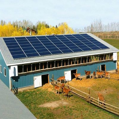Harga yang bagus Galvanized Ground Mounted Solar System For Greenhouse on line
