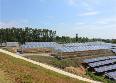 Harga yang bagus Single Span Greenhouse Solar System Agriculture Plant Warm House Metallic Structure on line
