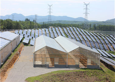 kualitas High Density Greenhouse Solar System Economical Planting Hot Dip Galvanized Steel Structure pabrik