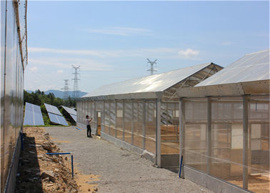 Harga yang bagus Roof Mounted Greenhouse Solar System Photovoltaic Power Plants Agricultural Crops on line