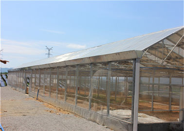 Harga yang bagus Ground Solar System For Agriculture , Plant Farm Solar PV Mounting Systems on line