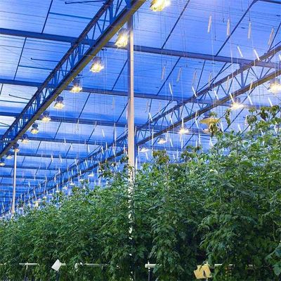 Harga yang bagus Integrated PV Panel Mounting Systems Greenhouses Thin Film Module Support Structure on line