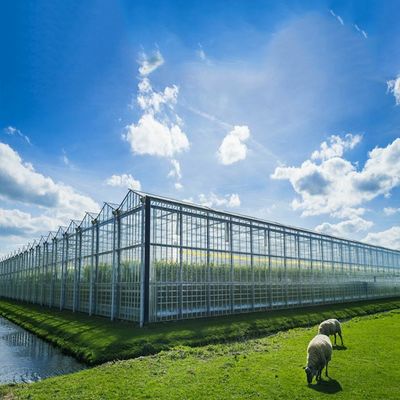 Harga yang bagus Multi Purpose 500KW BIPV Greenhouse Solar System on line