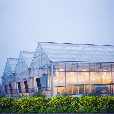 Harga yang bagus Galvanized 12mm Thickness Film Greenhouse Solar System on line