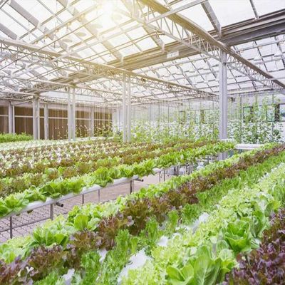 Harga yang bagus 10-60 ° Horizontal Vertical Greenhouse Solar Systems 36.9m/S wind Load on line