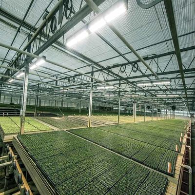 Harga yang bagus A Frame Outdoor Irrigation Agricultural Solar Powered Greenhouse on line