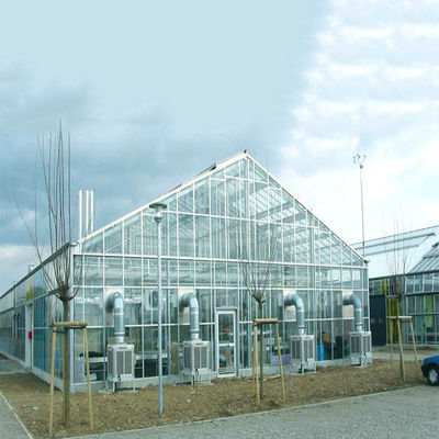 Harga yang bagus Galvanized Steel Frame Structure Greenhouse Solar System for Farm on line
