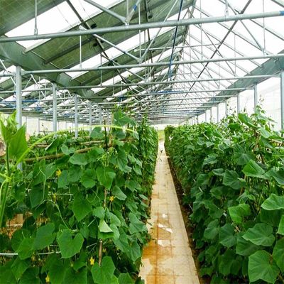 Harga yang bagus Galvanized Anodized Solar PV Greenhouse With Shading System on line